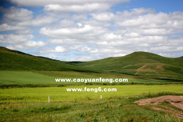 8月豐寧壩上風(fēng)景