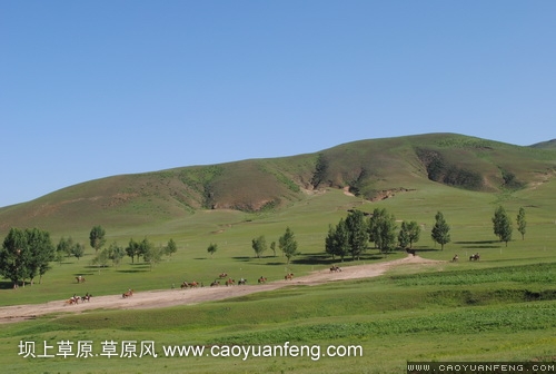 現(xiàn)代車友會 壩上旅游第二天
