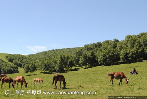 現(xiàn)代車友會 壩上旅游第二天