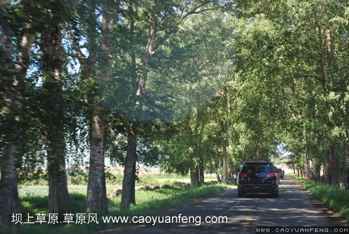 現(xiàn)代車友會 壩上旅游第三天
