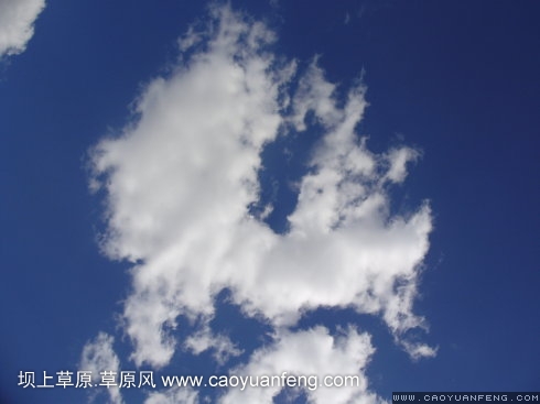 端午節(jié)之豐寧壩上