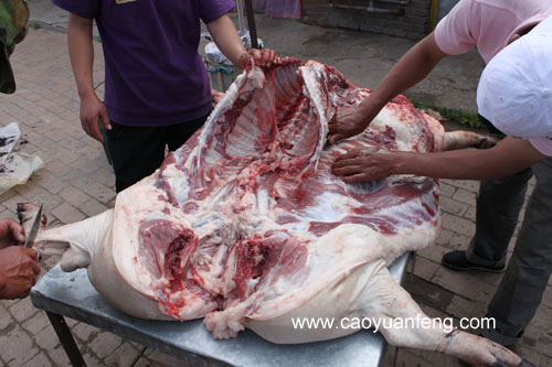 農(nóng)家院殺豬全過程