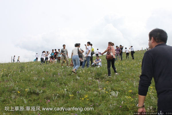 長(zhǎng)城汽車豐寧壩上旅游