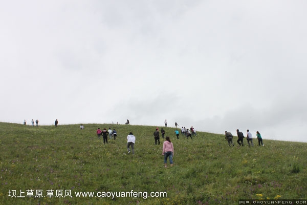 長(zhǎng)城汽車豐寧壩上旅游