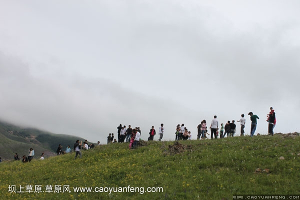 長(zhǎng)城汽車豐寧壩上旅游