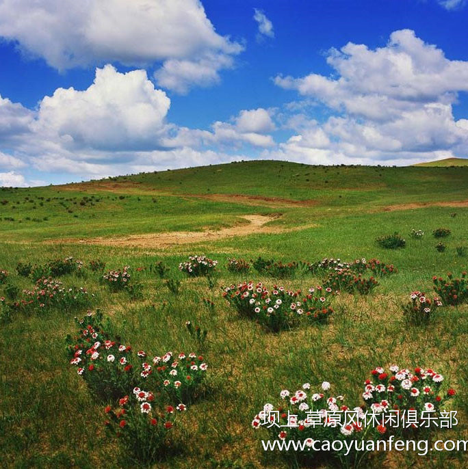 壩上風光美景之春季攝影