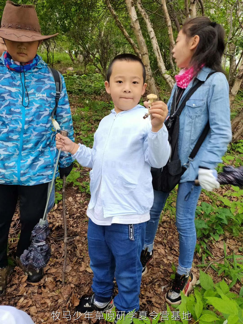 唐山蠢魚親子書屋草原夏令營