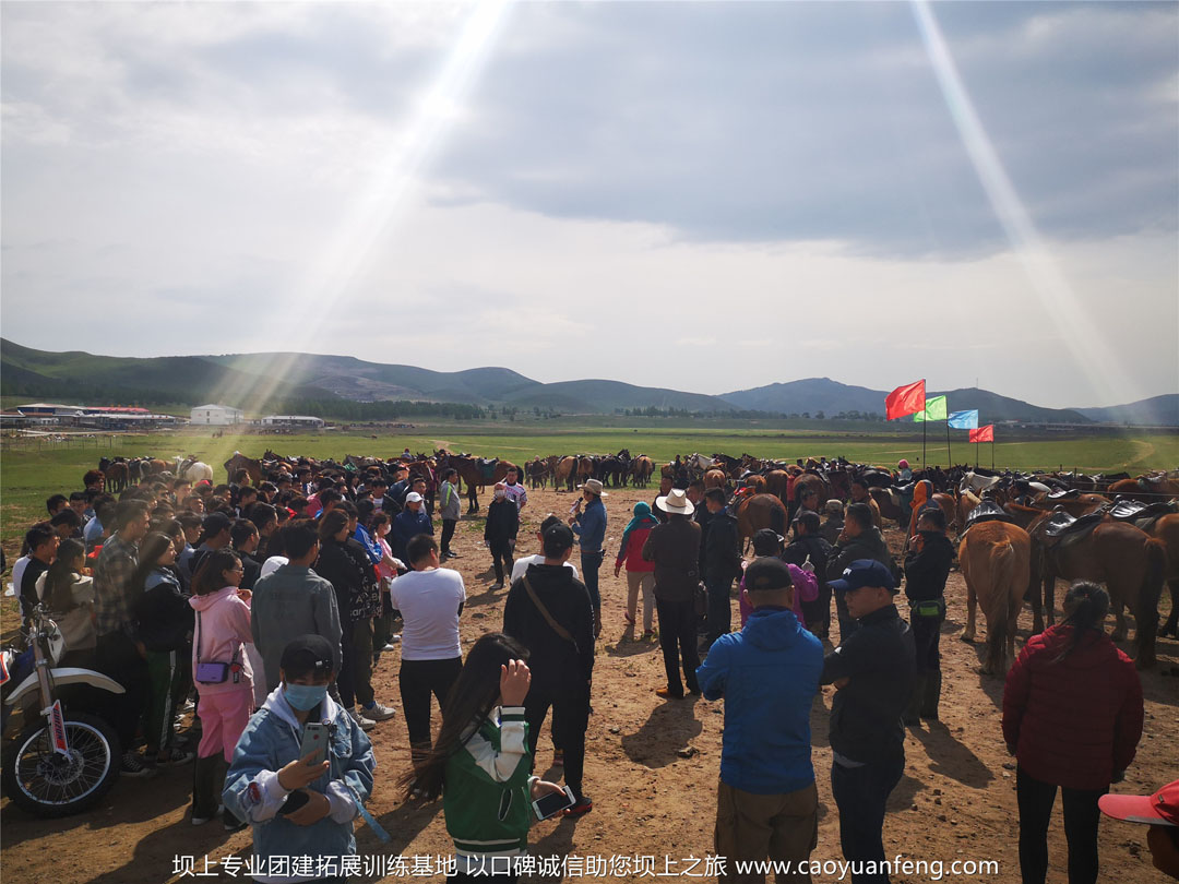 北京帝都健身公司團建拓展訓(xùn)練壩上草原行