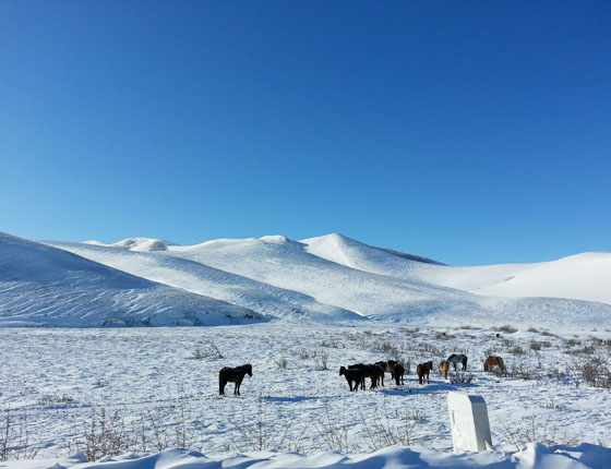 豐寧壩上草原雪景篇