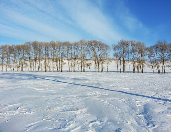 豐寧壩上草原雪景篇