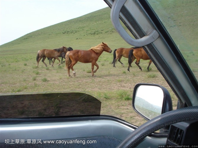 壩上旅游第一天