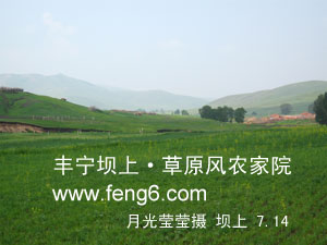 豐寧壩上草原風(fēng)景