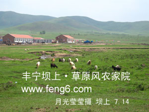 豐寧壩上草原風(fēng)景