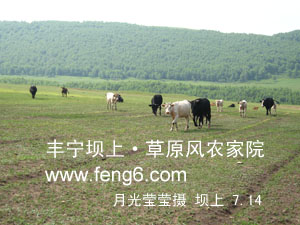 豐寧壩上草原風(fēng)景