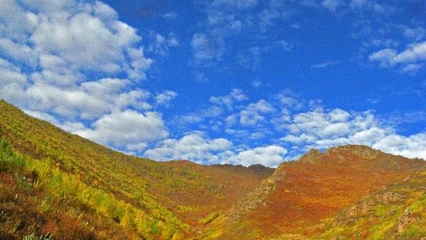 豐寧壩上旅游攻略圖片