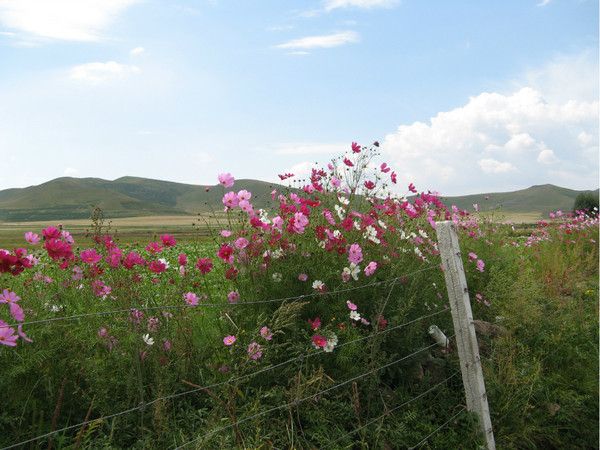 豐寧壩上旅游攻略圖片