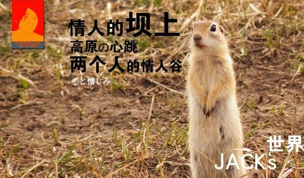 豐寧壩上圖片