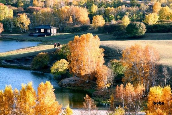 豐寧壩上的灰色旅游
