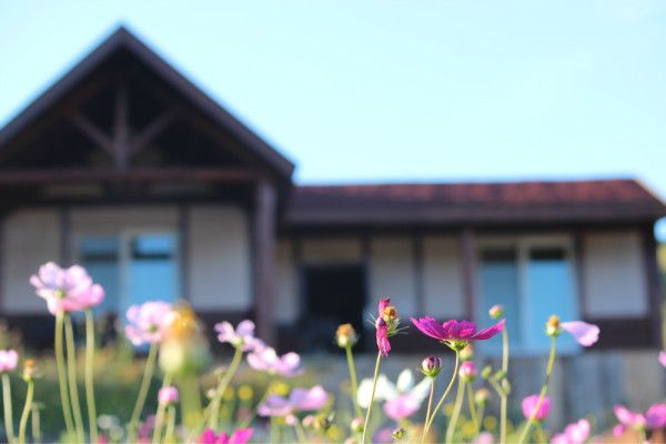 豐寧壩上旅游攻略圖片