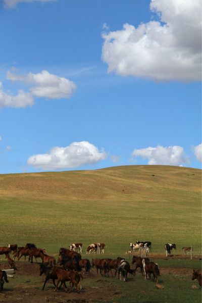 錫林郭勒景點(diǎn)圖片