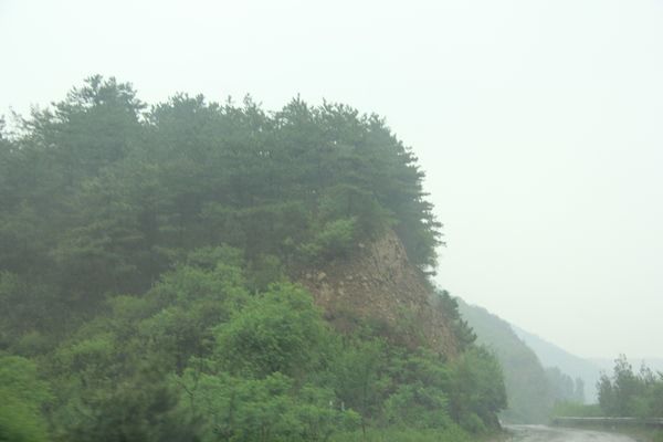 6月豐寧壩上草原之行
