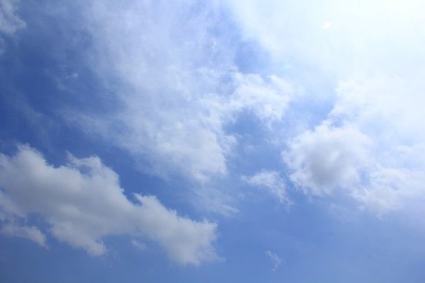 6月豐寧壩上草原之行