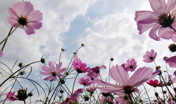 豐寧壩上 每一段旅程都是一場(chǎng)青春的祭典