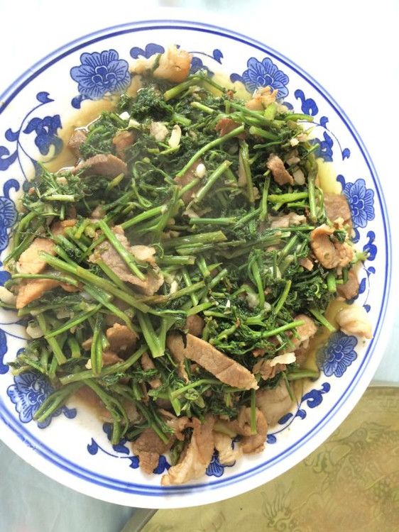 草原的美怎么也愛(ài)不夠——豐寧壩上游