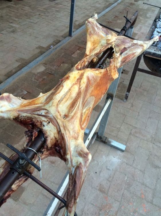 草原的美怎么也愛(ài)不夠——豐寧壩上游