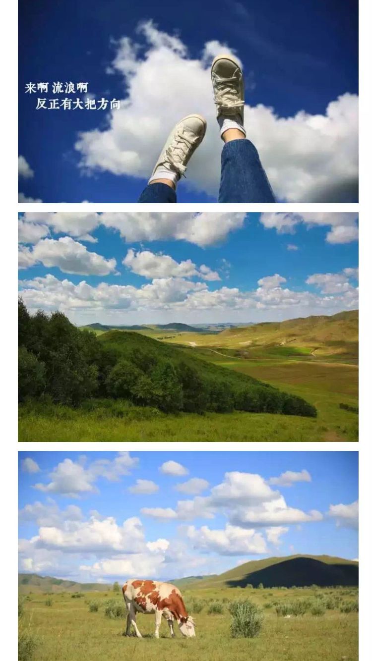 壩上草原的初夏，更像萬物復蘇的春天