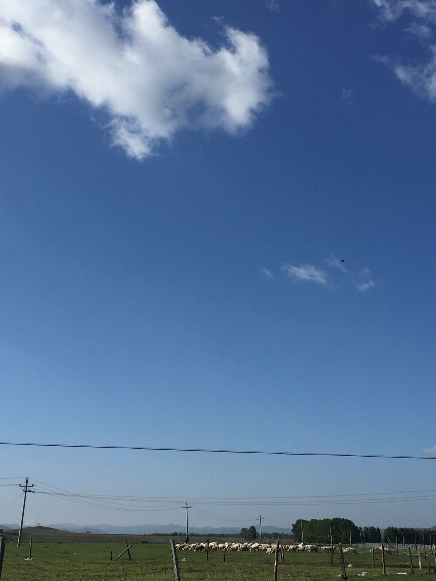 迎風(fēng)而來，我在草原等你