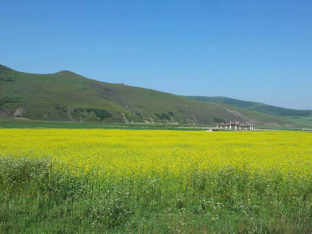 豐寧壩上大學(xué)同學(xué)聚會(huì)二日游
