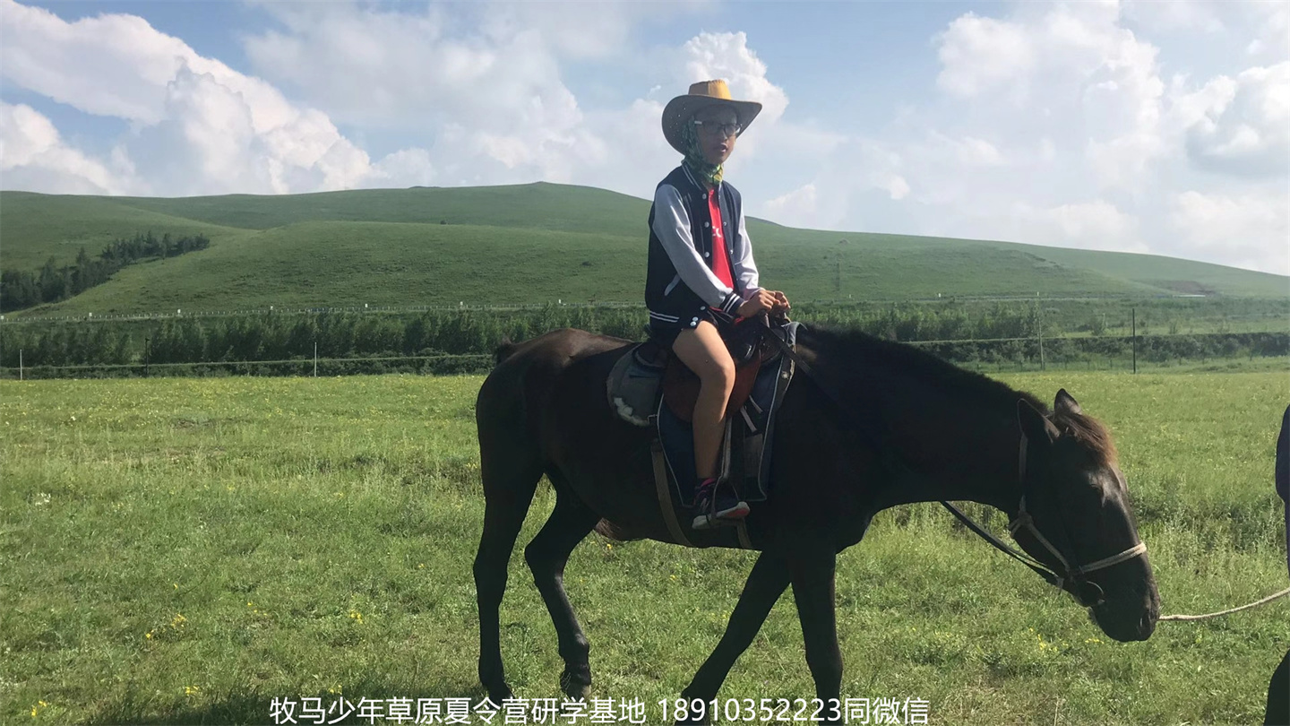 晉極武道館 松柏武道館草原研學夏令營