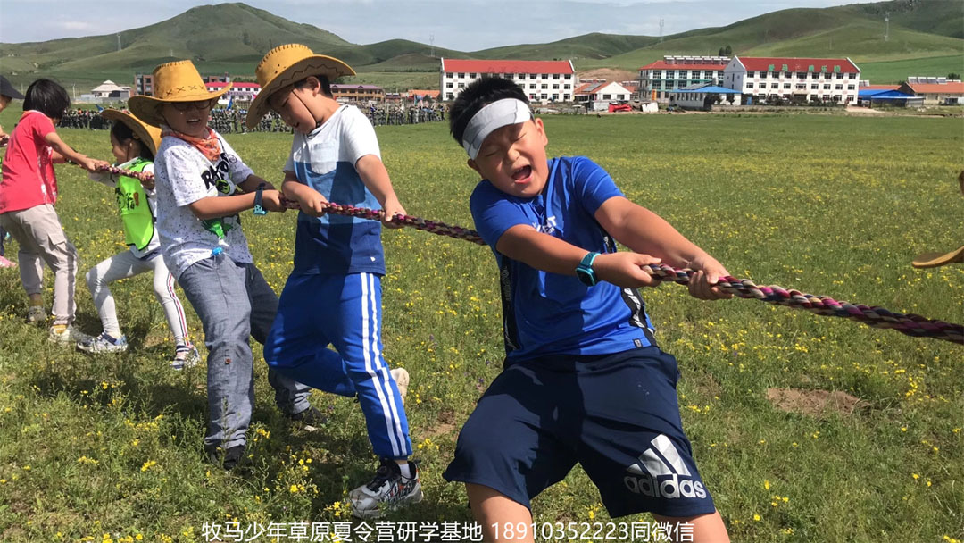 晉極武道館 松柏武道館草原研學夏令營