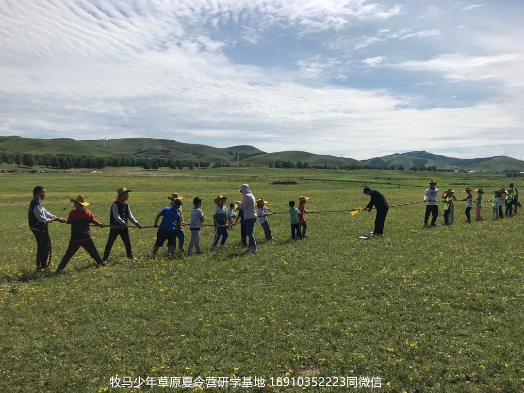 晉極武道館 松柏武道館草原研學夏令營