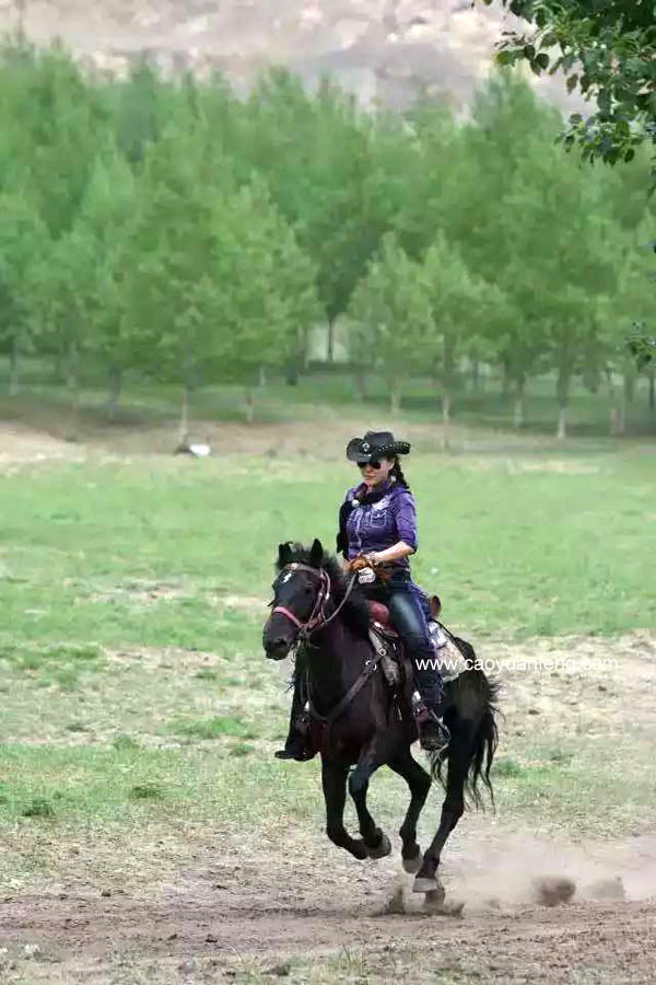 全國馬友齊聚壩上騎馬