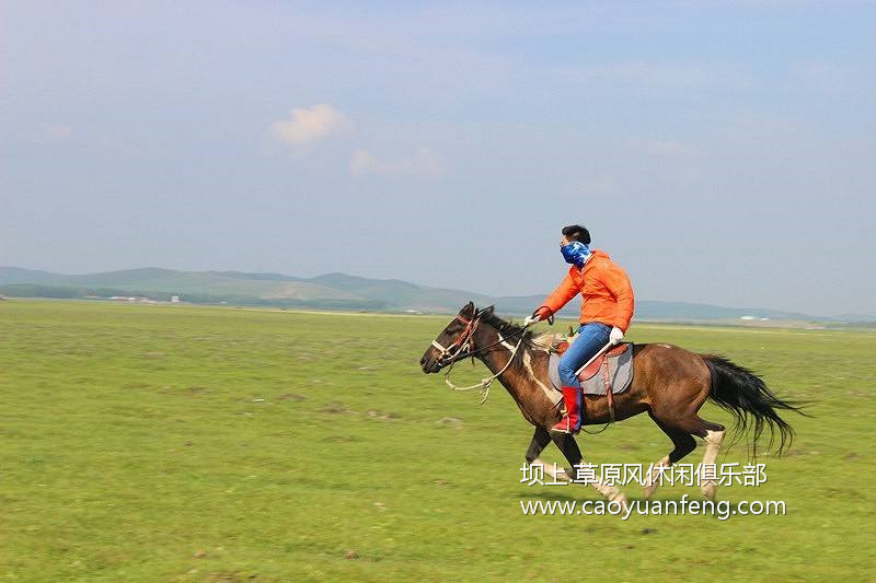 騎馬注意事項(xiàng) 騎馬需要的裝備 專(zhuān)業(yè)總結(jié)詳細(xì)版