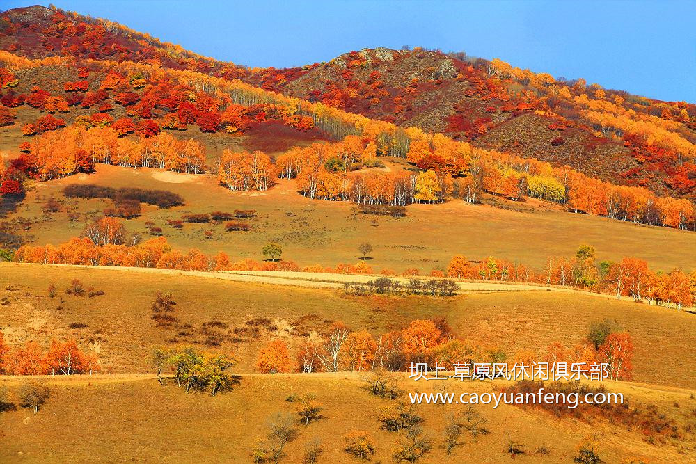 壩上風(fēng)光美景之秋季攝影