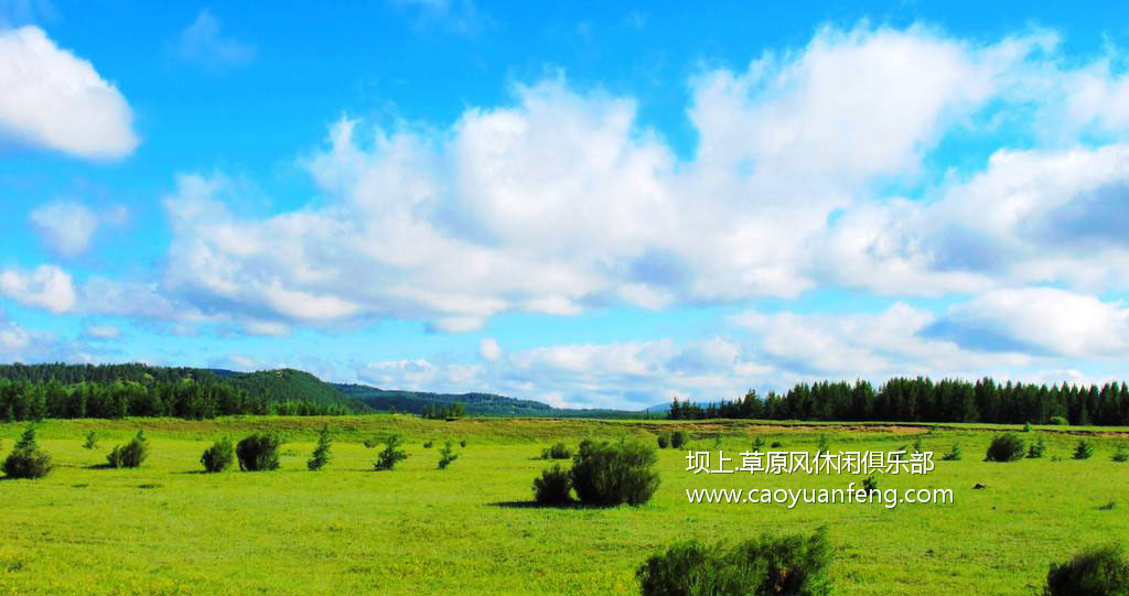 壩上四季風光美景之夏季攝影（暑期）