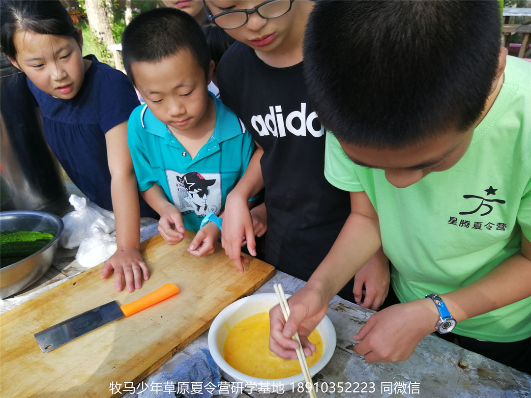 北京星騰少年壩上草原研學(xué)夏令營