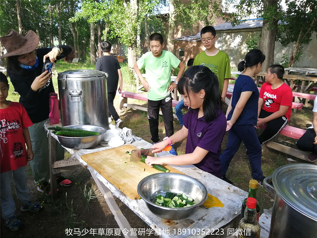北京星騰少年壩上草原研學(xué)夏令營