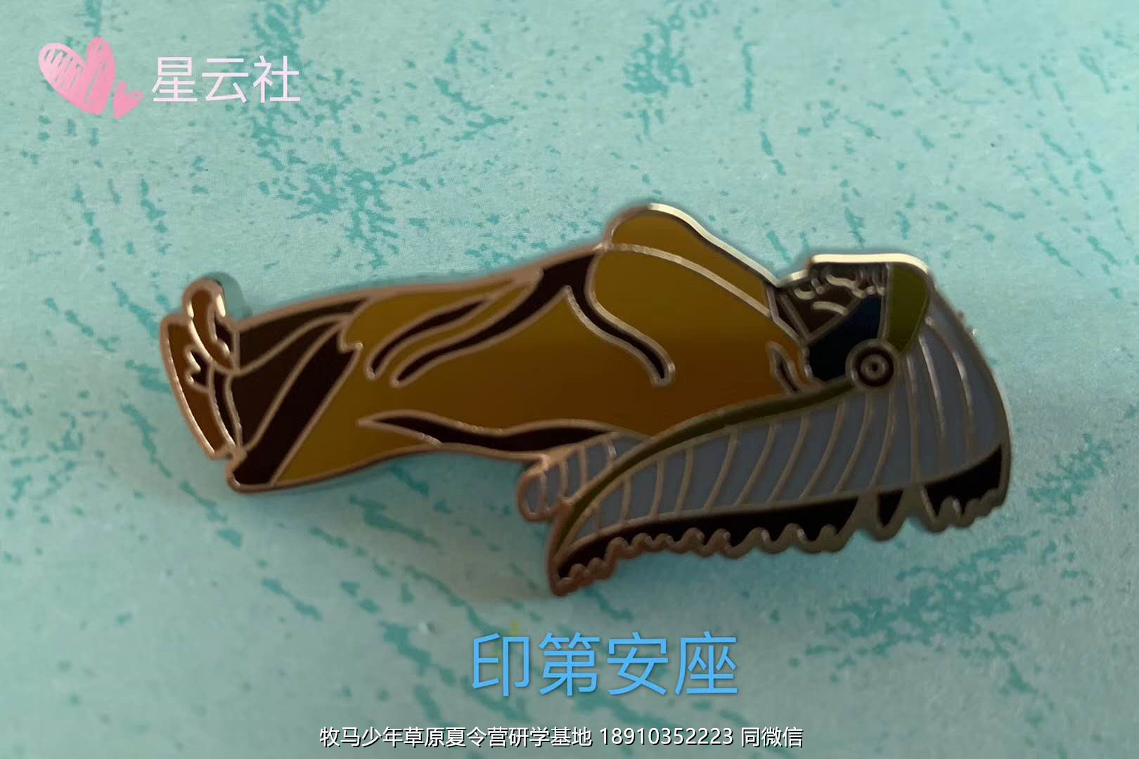 中關(guān)村二小星云社小小天文家草原冬令營