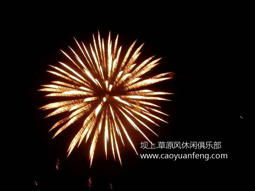草原夜晚煙花燃放